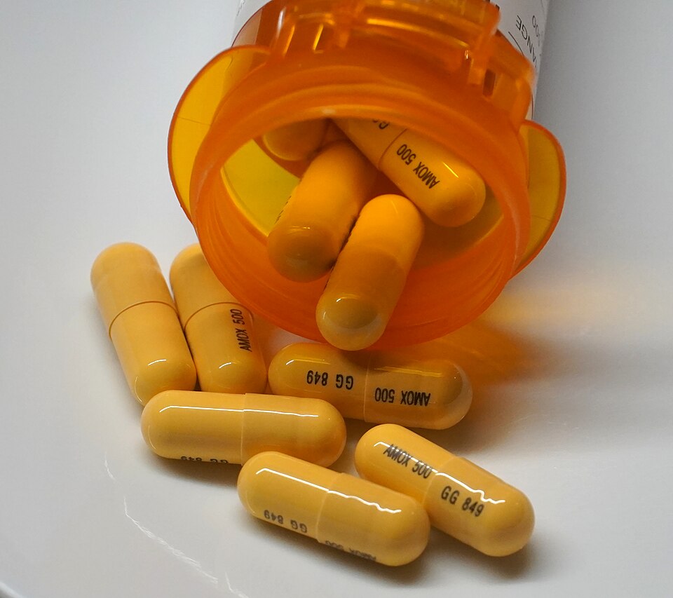 Amoxicillin 250mg x100